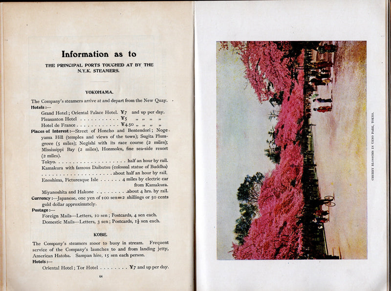 Various: pre-war - 1917 NYK Line guide w/ 120 pages, 26 deck plans, fleet list