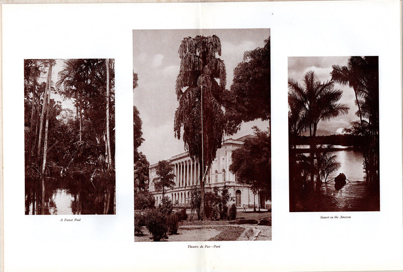 HILDEBRAND: 1911 - Deluxe 1929 Booth Line exotic cruises up the Amazon